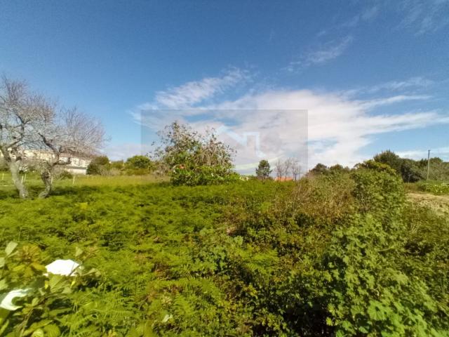 Terreno 1190m² com Viabilidade para 2 Casas – Tavarede, Figueira da Foz
