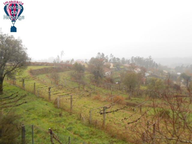 Terreno de Construção
