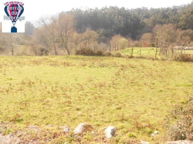 Terreno de Construção