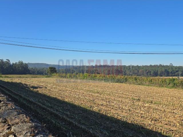 Terreno de Construção com 5.000 m² em Parada, Vila do Conde