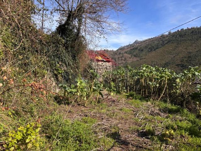 Terreno de construção com Pré Existência em Pedra