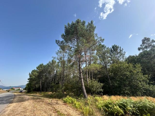 Terreno de construção em Agualonga