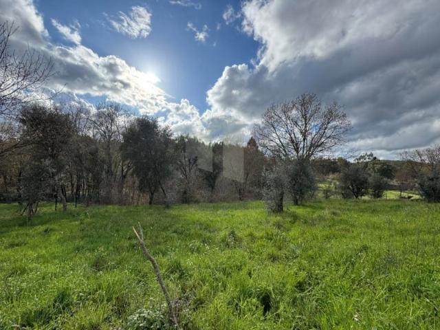 Terreno de Construção em Aldeia da Cruz com poço !