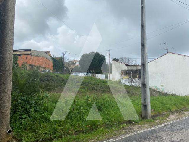 Terreno de construção em Anadia