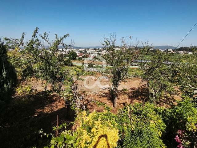 Terreno de construção em Candoso São Martinho