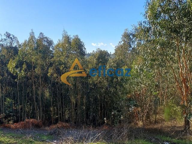 Terreno de Construção em Lagares