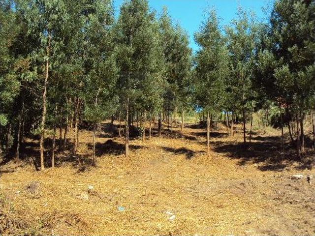 Terreno de construção em Paredes de Coura