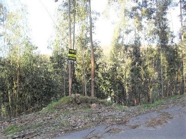 Terreno de Construção em Serdedelo