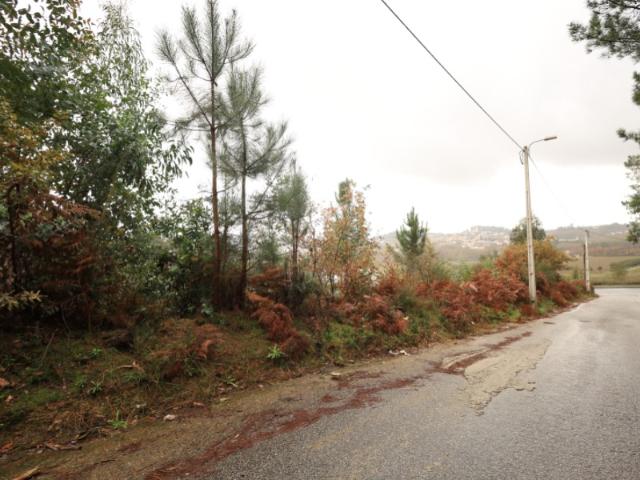 Terreno de Construção Habitacional | 1300M2