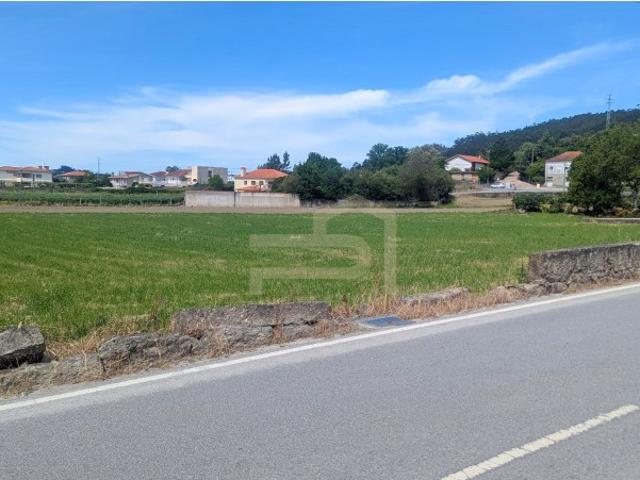 Terreno de construção na freguesia de Telhado