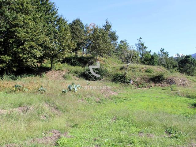 Terreno de Construção Oliveira. Arcos de Valdevez