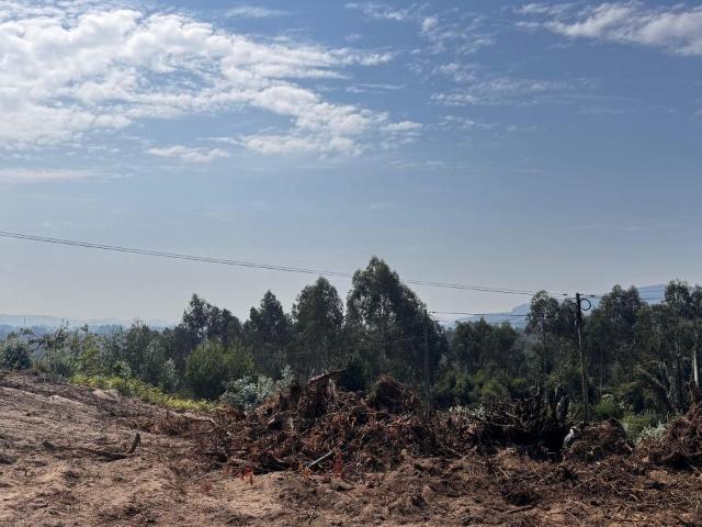 Terreno de construção para venda em Rio Covo Santa Eulália Barcelos