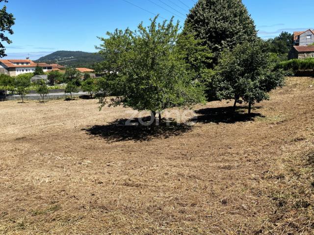 Terreno de desenvolvimento em Antas, Esposende