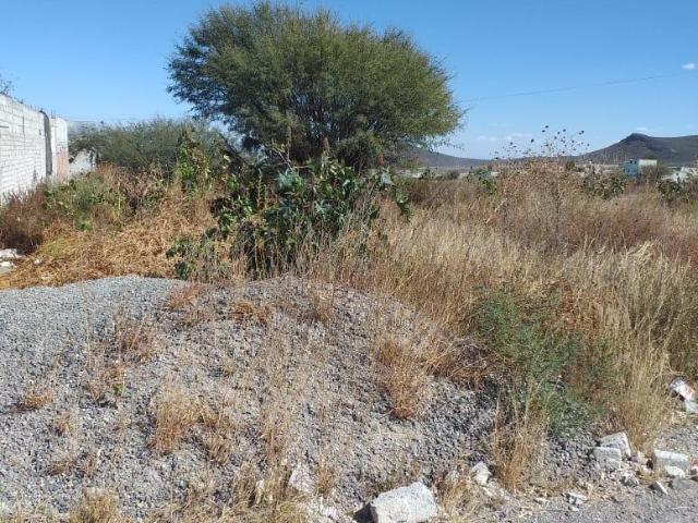 TERRENO DE DOS HECTAREAS CERCA DEL CONIN