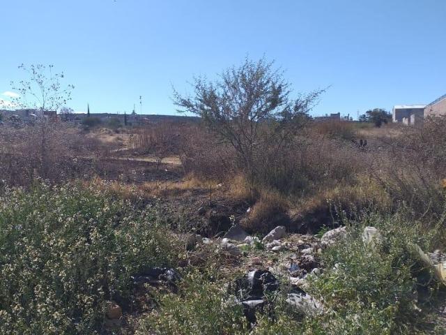 TERRENO DE DOS HECTAREAS CERCA DEL CONIN