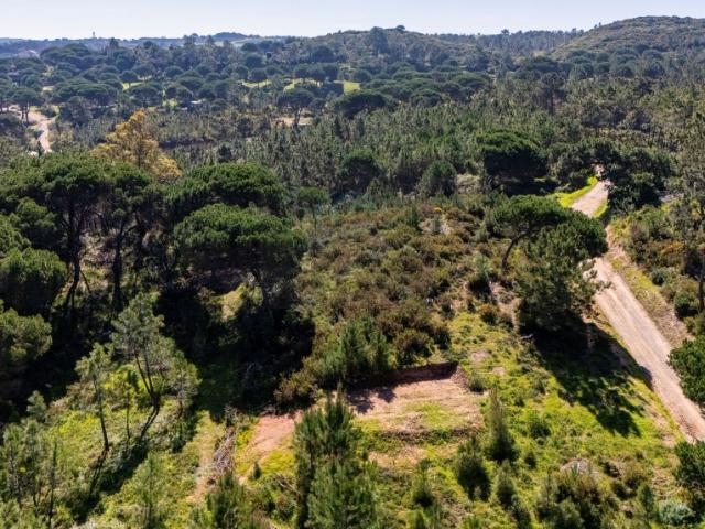 Terreno de Exceção em Fornos: 8.500 m² Misto Urbano/Rústico Construtível