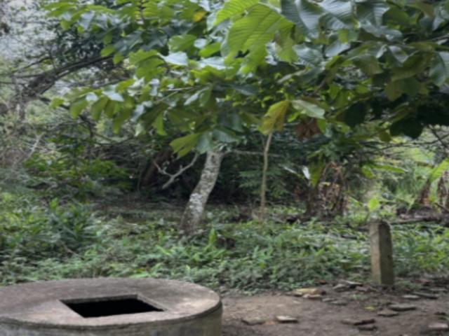 TERRENO DE ENTREGA INMEDIATA EN AV. PALO BLANCO SAN FERNANDO CHIAPAS