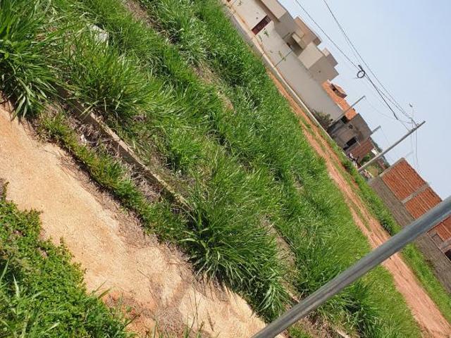 TERRENO DE ESQUINA