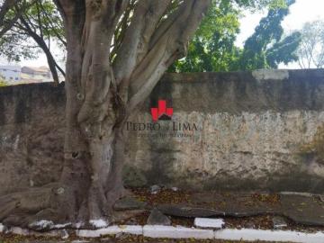 Terreno de Esquina com 442 m² na Vila Formosa