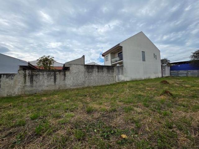 TERRENO DE ESQUINA LIMPO E CERCADO