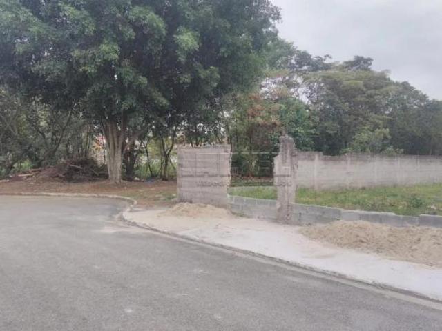 TERRENO DE ESQUINA NO JD. CALIFORNIA