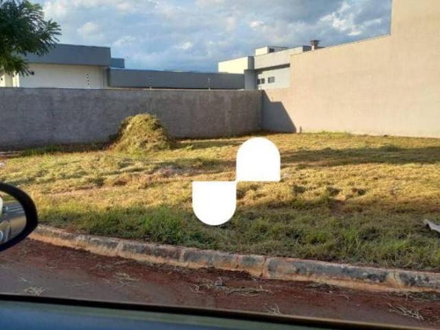 Terreno de Esquina Plano – Ideal para Casa com Lazer ou Investimento em Kitnets