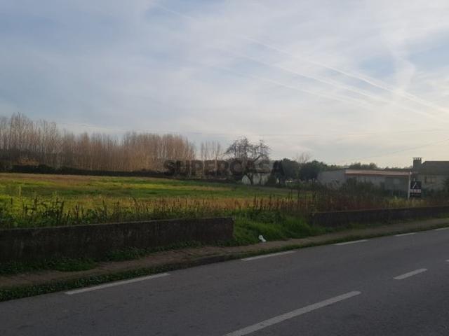 Terreno de frente 43 metros, Cerca, Anadia