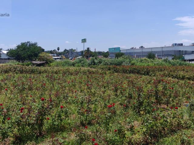 Terreno de gran extensi?n, ubicaci?n estrat?gica en Acatlipa, Temixco, Morelos Cesi?n de Derechos ?Clave 6327