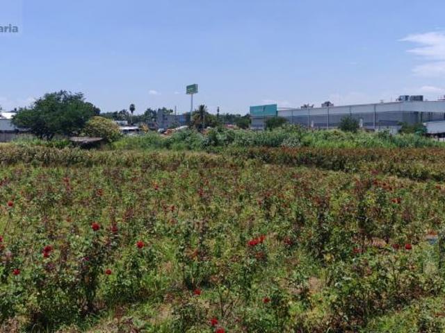 Terreno de gran extensión, ubicación estratégica en Acatlipa, Temixco, Morelos Cesión de Derechos …