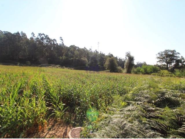 Terreno de Lavradio