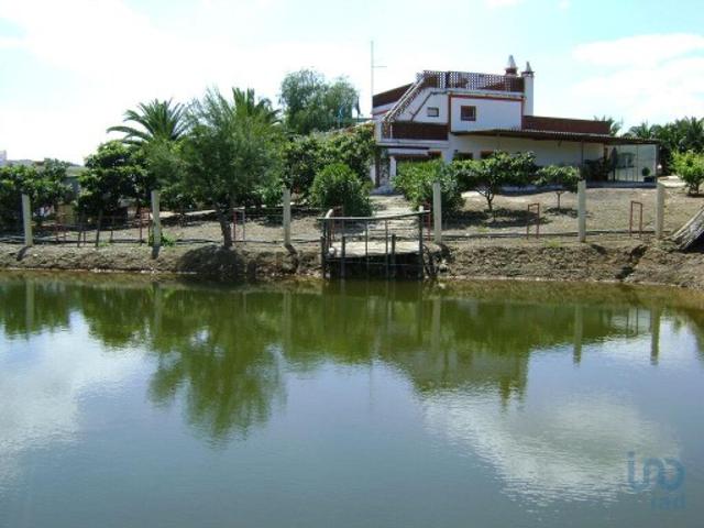 Terreno Agrícola em Cabeça Gorda de 41500,00 m²
