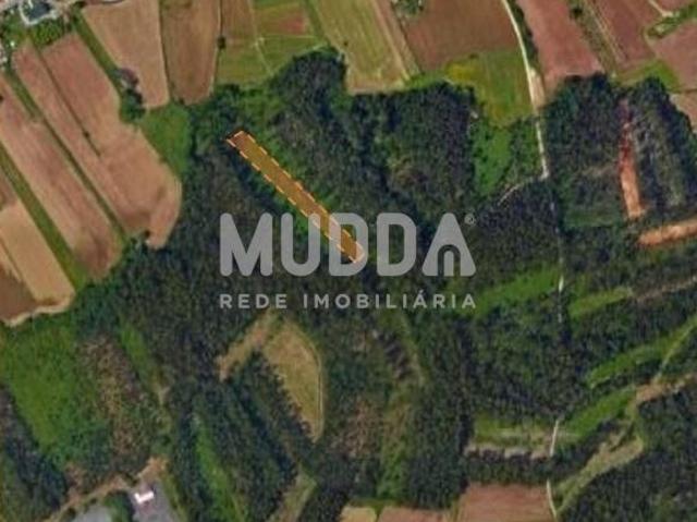 Terreno de Pinhal com 3000 m²