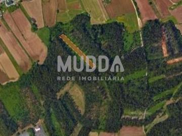 Terreno de Pinhal com 3000 m²