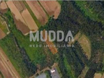 Terreno de Pinhal em Válega