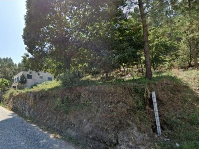 Terreno de pinhal em Carvalhal Barcelos