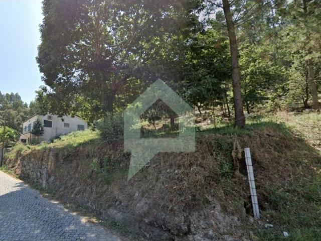 Terreno de pinhal em Carvalhal Barcelos