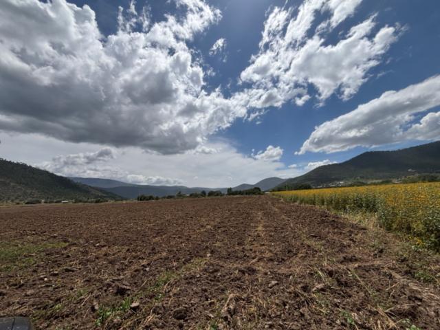 TERRENO DE PRODUCCIÓN DE VENTA EN EL TUNAL, ARTEAGA COAHUILA