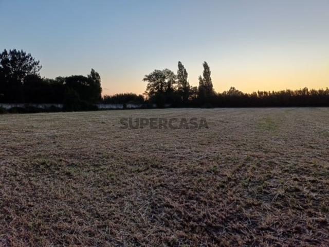 Terreno de 3.920 m² em Alfeizerão | Proximidade Foz do Arelho
