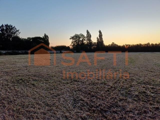 Terreno de 3.920 m² em Alfeizerão | Proximidade Foz do Arelho