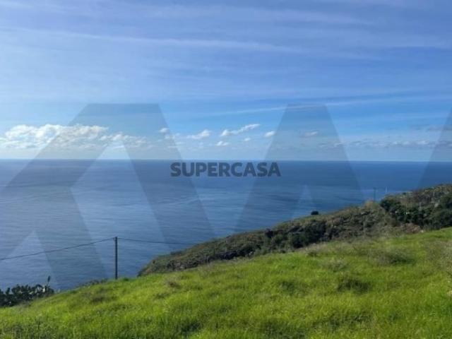 Terreno de sonho na Fajã da Ovelha Calheta