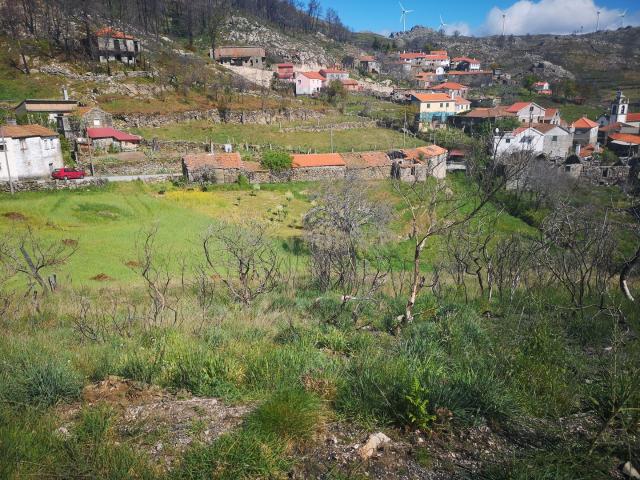 Terreno de sonho com viabilidade para construção de uma moradia