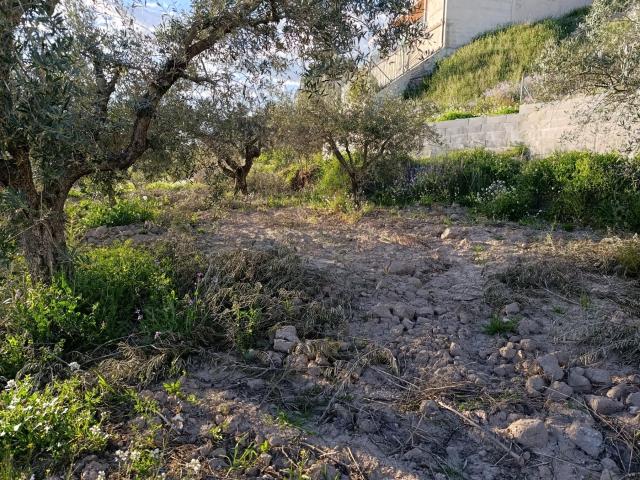 TERRENO DE TRES PARCELAS CON 3600 METROS
