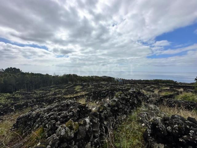 Terreno exclusivo com autenticidade, vista mar e montanha ilha do Pico