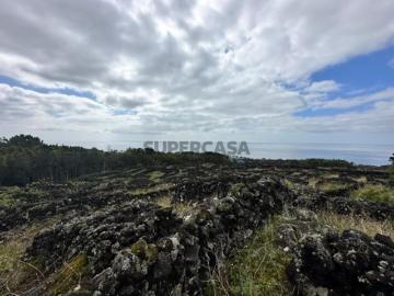 Terreno de vinha com viabilidade de construção ilha do Pico