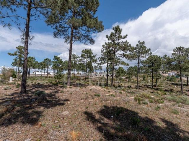Terreno de 1400 m2 Comporta, Setúbal