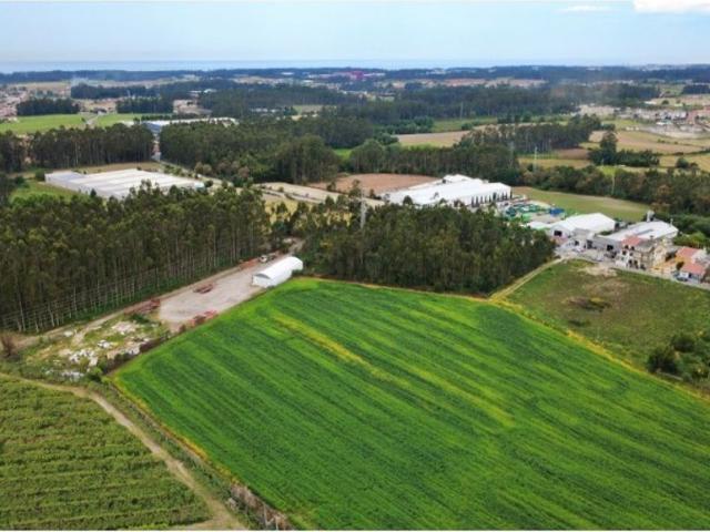 Terreno de 1491 m2 à venda Vila do Conde, Porto