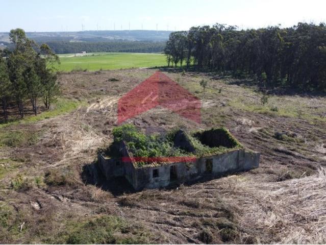 Terreno de 14.840m2 com ruína em Atouguia da Baleia
