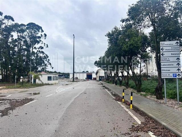 Terreno de 15000 m2 Silves, Faro