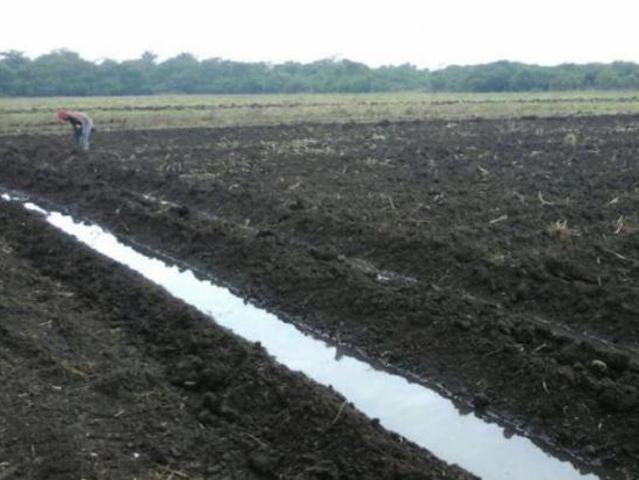 Terreno de 150 hectáreas en venta en Santa Margarita. SAN ANDRÉS TUXTLA, VER