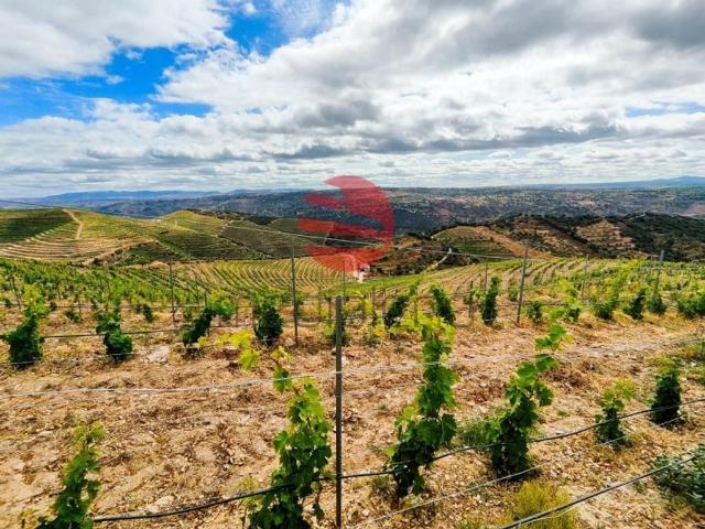 Terreno de 150 m2 Mêda, Portugal